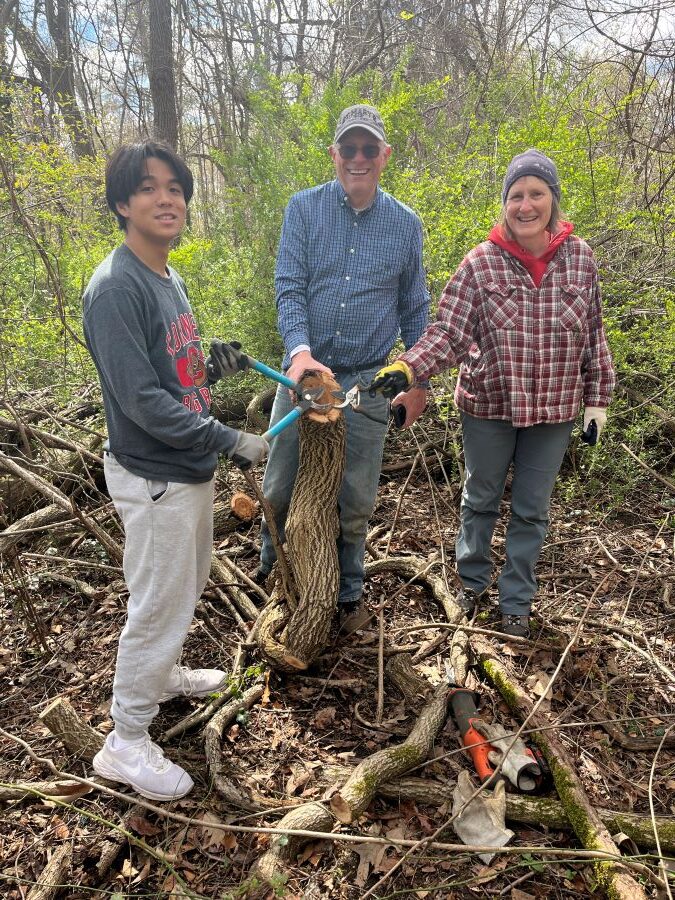 volunteers with large vine