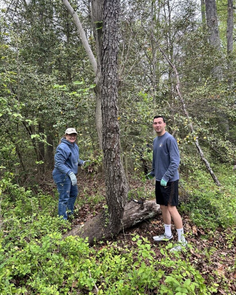 Volunteers clearing ivy from tree