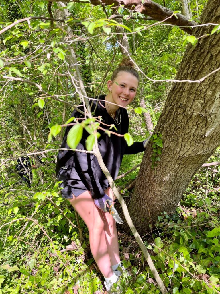 volunteer removing ivy