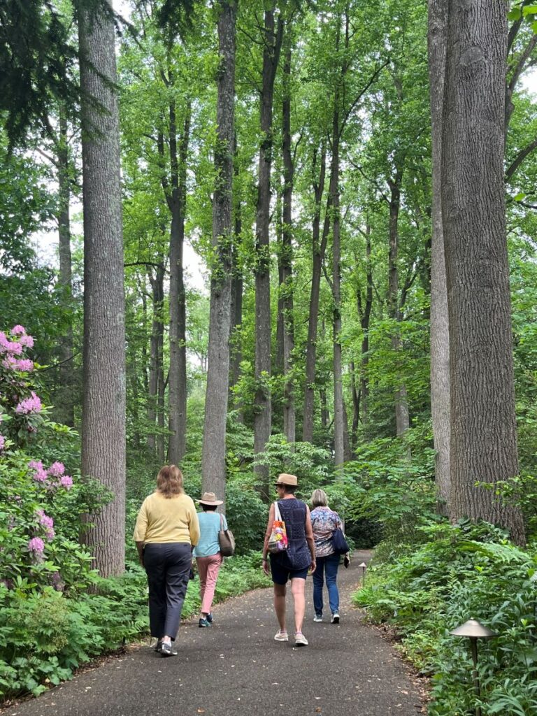 people walking on path through trees