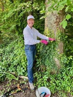 volunteer removing ivy from tree